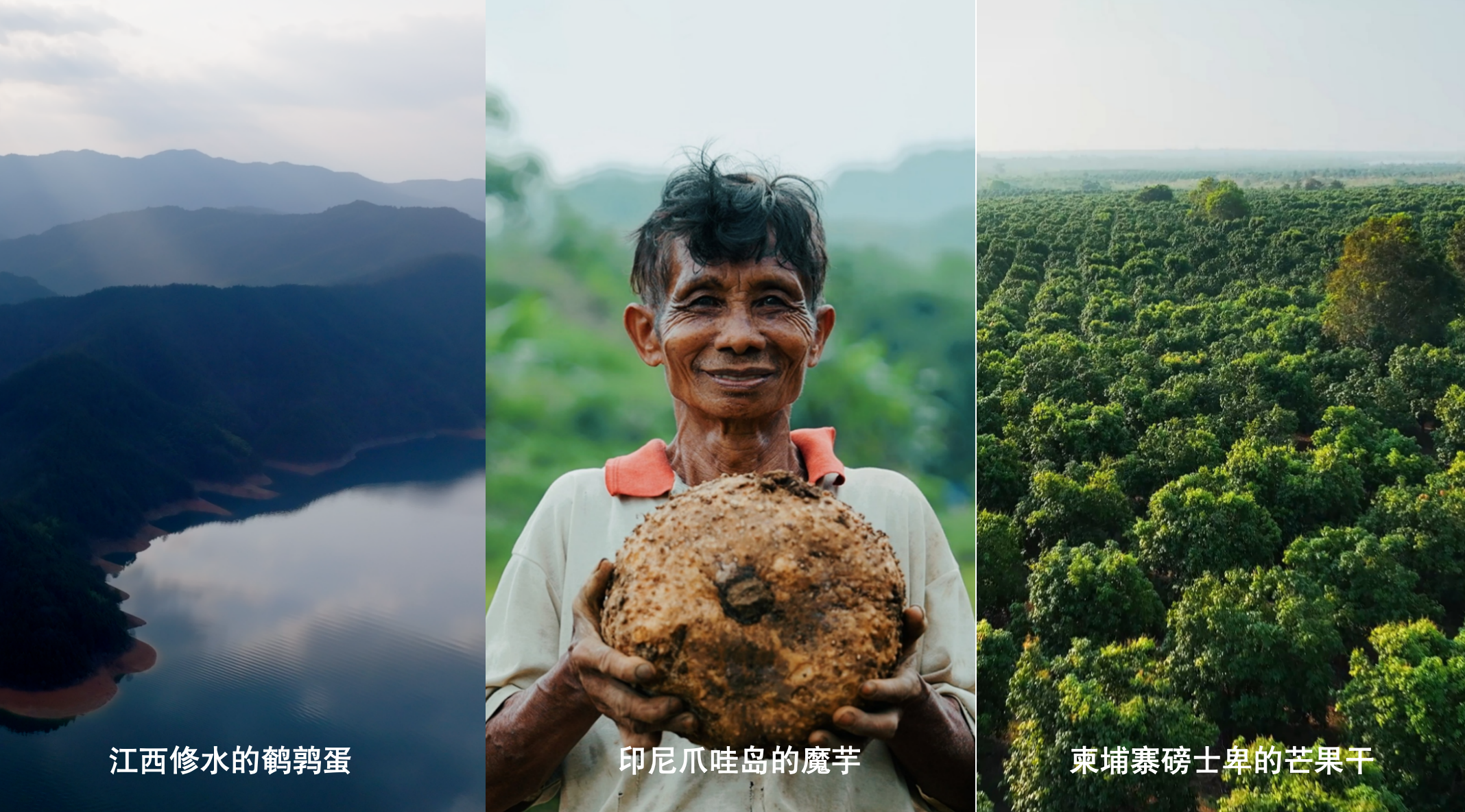 新春家書｜根深則葉茂，心定則路遠
