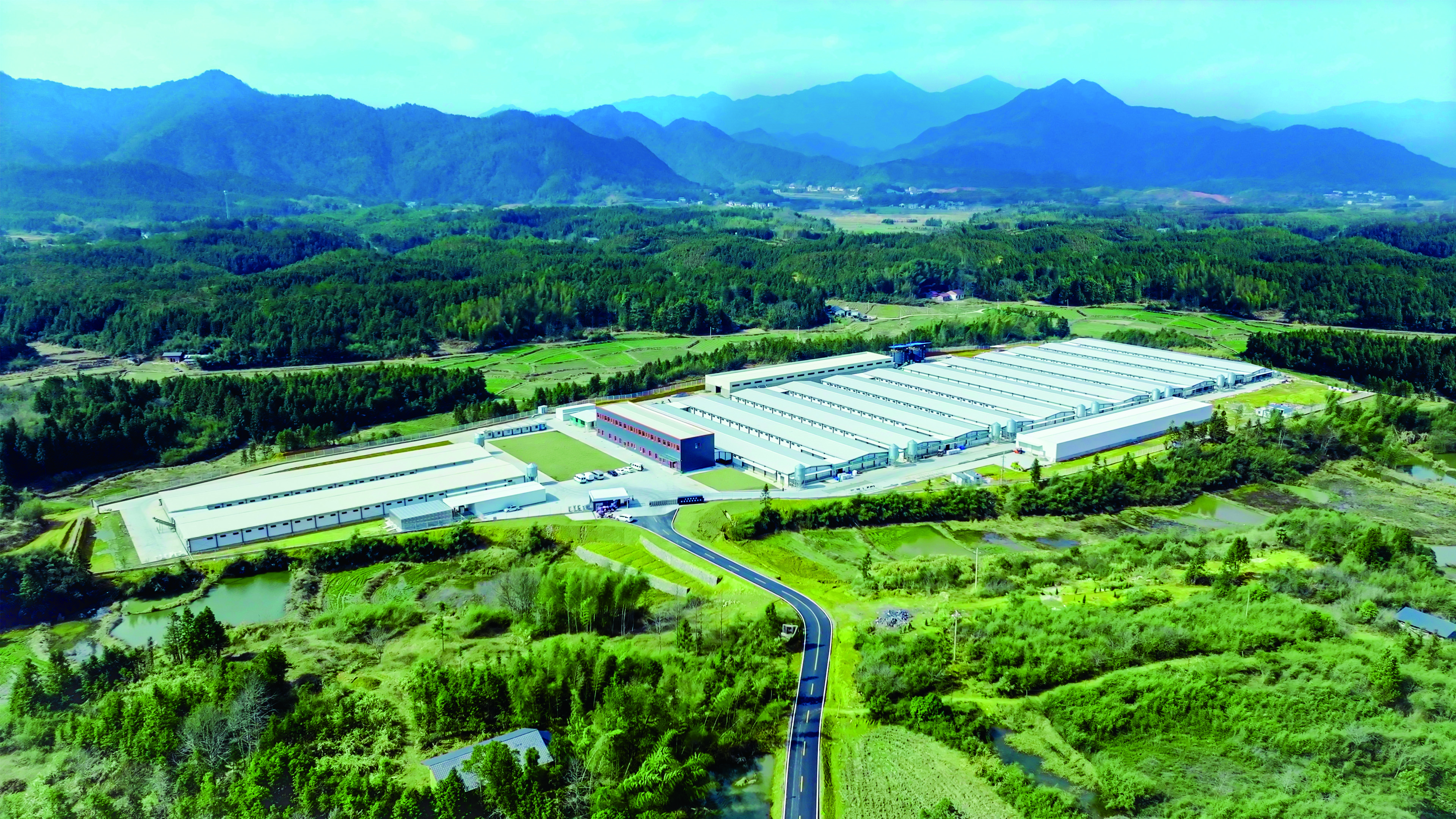 新春家書｜根深則葉茂，心定則路遠